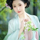 一剑光寒照九州，回首已是百年秋