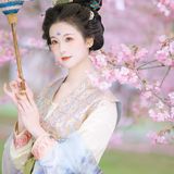 听花落无声，恍若置身千年画卷