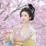 春日游 - 13