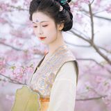 春日游 - 14