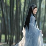 轻纱薄雾间，眉眼如画