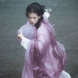 粉绡盈风拂樱雪，游云碎步点春林