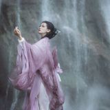 蝶影纷飞，如梦如幻