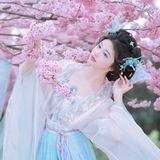成都的市花芙蓉，花开如霞