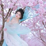 花重锦官城，定格最美瞬间