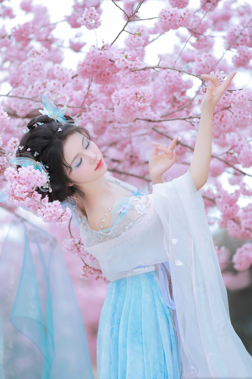 芙蓉花开，盛世繁华