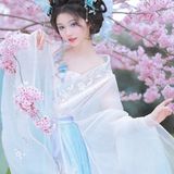 花重锦官城 - 11