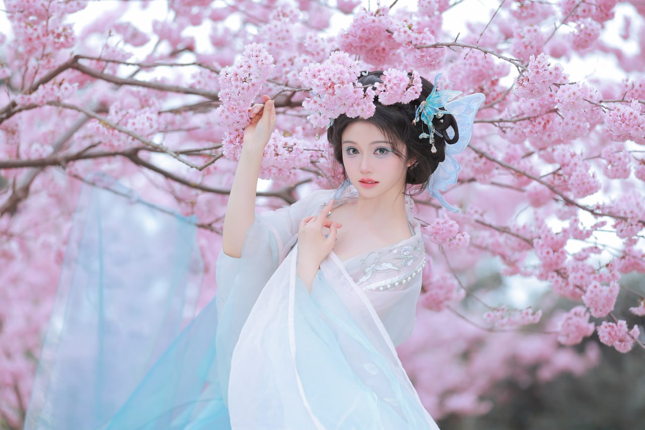 花重锦官城 - 14