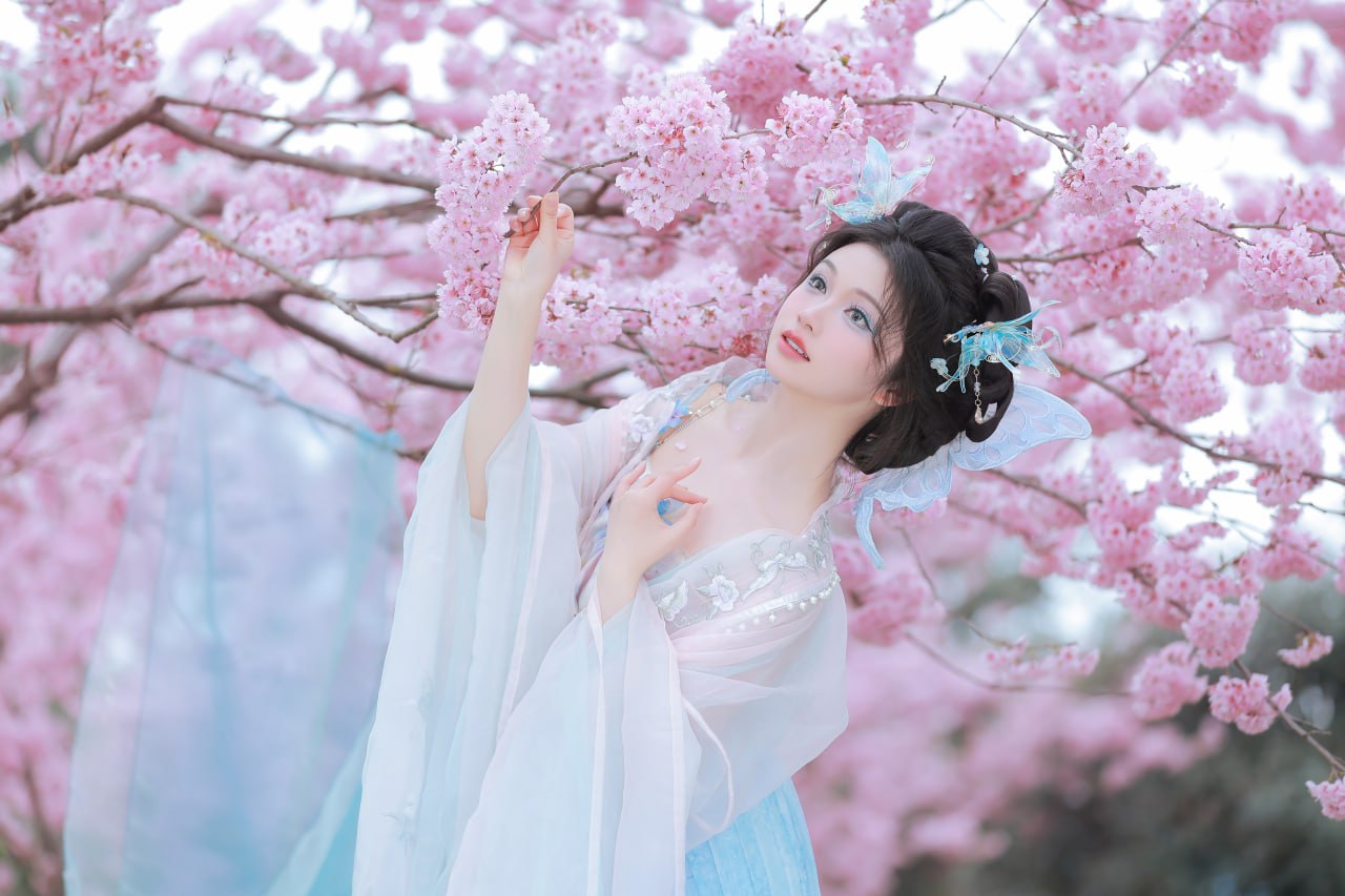 花重锦官城 - 15