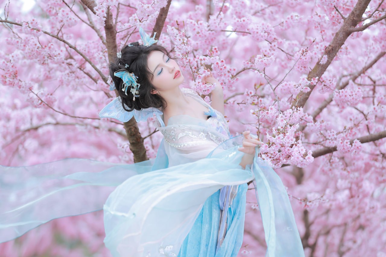 花重锦官城 - 17