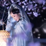 紫白渐变纱衣，飘逸如仙