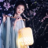 花间仙影 - 13