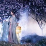 花间仙影 - 20