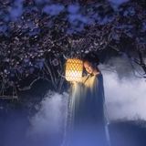 花间仙影 - 21