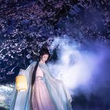花间仙影 - 22
