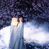 花间仙影 - 23