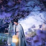 花间仙影 - 26