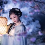 花间仙影 - 29
