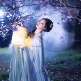 花间仙影 - 30