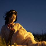 战国袍服立苍茫，黄昏草地暮色长
