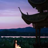 曲院风荷