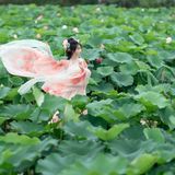 【汉服写真】齐胸襦裙舞荷塘：翠盖红衣翩然起，一池清梦落衣裳