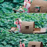 【汉服写真】沈阳荷花乌篷船：误入藕花深处，一棹摇碎满池夏