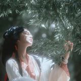 白马映苍山：汉服红妆立洱海边，大理风月任平生