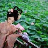 荷风仙影：白衣汉服立莲塘，一池夏荷映仙姿