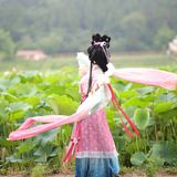 乘风赴荷约