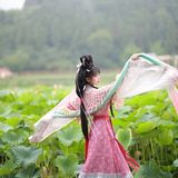 乘风赴荷约