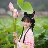 乘风赴荷约