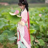 乘风赴荷约
