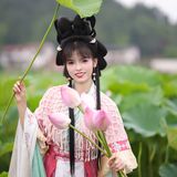 乘风赴荷约