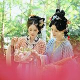 宋制 · 仕女图