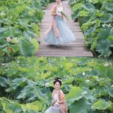 【汉服写真】宋衫碧荷：轻倚塘畔，人面芙蓉两相扬