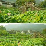 衣影清欢