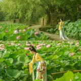 衣影清欢