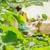 衣影清欢