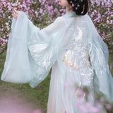 汉服佳人｜青衫罗袖拂花枝，一溪春水照海棠