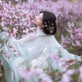 汉服佳人｜青衫罗袖拂花枝，一溪春水照海棠