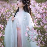 汉服佳人｜青衫罗袖拂花枝，一溪春水照海棠