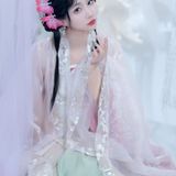 【汉服写真】淡粉刺绣汉服佳人 娴静从容见清欢