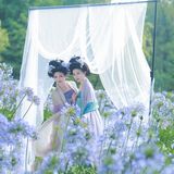 【汉服写真】高髻簪花汉服姐妹 清雅温婉恰如诗