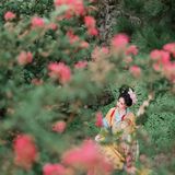 【汉服写真】满园花开·岁月温柔汉家韵