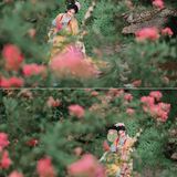 【汉服写真】满园花开·岁月温柔汉家韵