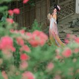 【汉服写真】满园花开·岁月温柔汉家韵