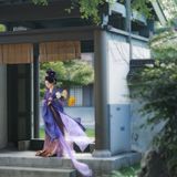 夕照 · 团扇剪影 逆光第6帧/11·竖幅