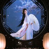 夜樱辞梦 · 月光门里 夜拍第3帧/6·竖幅