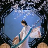 夜樱辞梦 · 月光门里 夜拍第6帧/6·竖幅